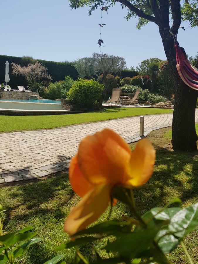 Appartamento Au pays de Cézanne Picasso Aix-en-Provence Esterno foto