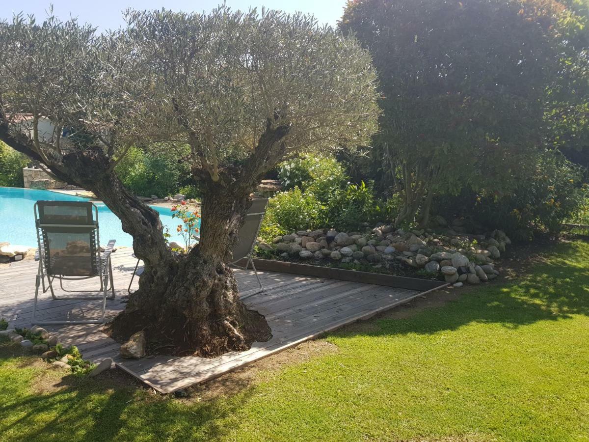 Appartamento Au pays de Cézanne Picasso Aix-en-Provence Esterno foto